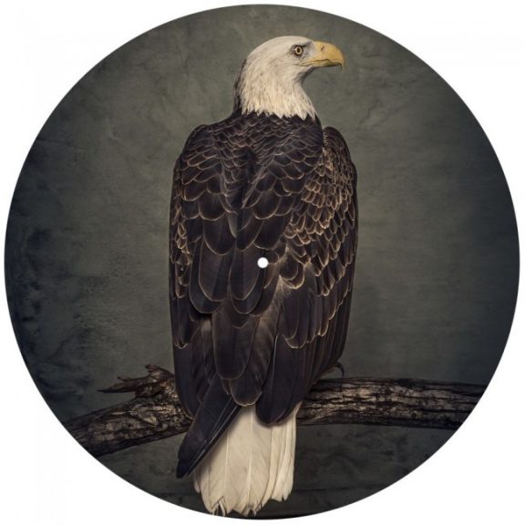 CLUTCH: Book Of Bad Descisions (2LP, picture disc, ltd.) CLUTCH: Book Of Bad Descisions (2LP, picture disc, ltd.)