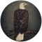 CLUTCH: Book Of Bad Descisions (2LP, picture disc, ltd.)