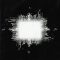 TOOL: Aenima (CD)