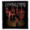 CANNIBAL CORPSE: Torture (8,5 cm x 9,5 cm) (felvarró)
