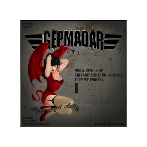 GÉPMADÁR: Gépmadár (CD) GÉPMADÁR: Gépmadár (CD)