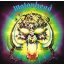 MOTORHEAD: Overkill (LP, 180 gr)