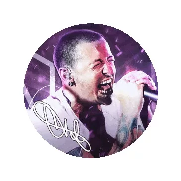 LINKIN PARK: Chester (jelvény, 2,5 cm)