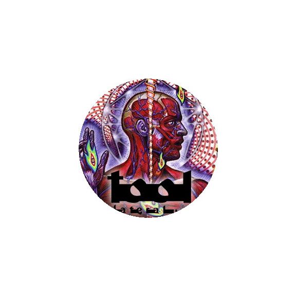 TOOL: Lateralus (jelvény, 2,5 cm) TOOL: Lateralus (jelvény, 2,5 cm)