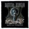 DIMMU BORGIR: Death Cult Armageddon (9,5 cm x 9,5 cm) (felvarró)