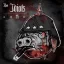 IDIOTS: II. (LP)
