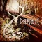 DALRIADA: Őszelő (CD)