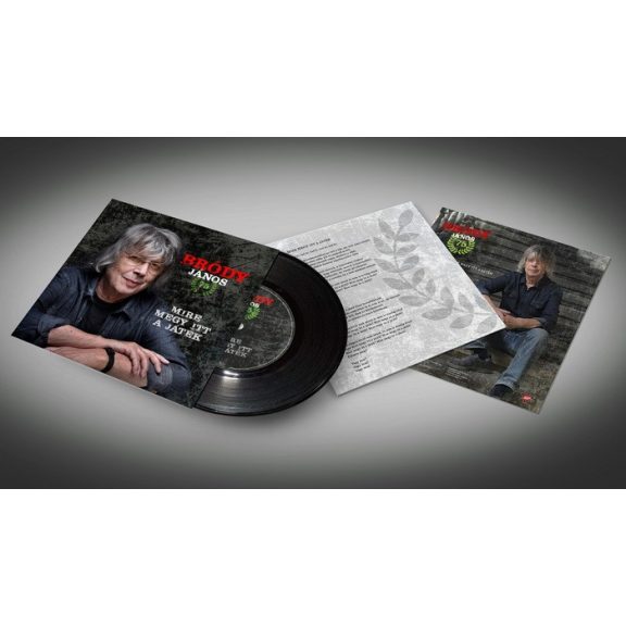 BRÓDY JÁNOS: Mire megy itt a játék (LP/SP, 2 track single)