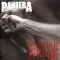 PANTERA: Vulgar Display Of Power (2LP, USA)