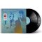 ROBERT PLANT & ALISON KRAUSS: Raise The Roof (2LP, 180 gr)