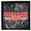 WATAIN: The Agony And Ecstasy Of Watain (9,5 cm x 9,5 cm)