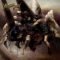 IMMOLATION: Acts Of God (CD)