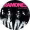 RAMONES: Rocket To Russia (nagy jelvény, 3,7 cm)