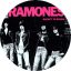 RAMONES: Rocket To Russia (nagy jelvény, 3,7 cm)