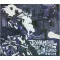 JOHN MAYALL: The Sun Is Shining Down (CD)