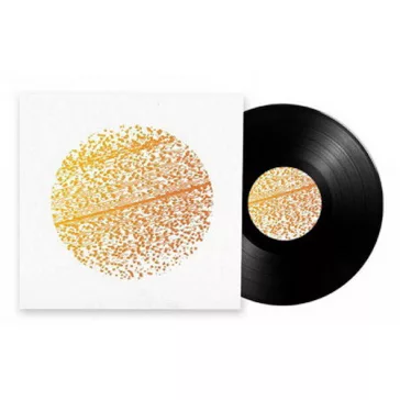 GATHERING: Beautiful Distortion (LP)