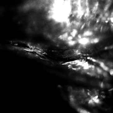 DREYELANDS: Stages (LP, Record Store Day 2022)