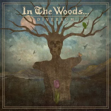 IN THE WOODS…: Diversum (CD)
