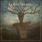 IN THE WOODS…: Diversum (CD)