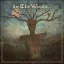 IN THE WOODS…: Diversum (LP)