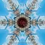 DREAM THEATER: Live At Madison Square Garden 2010 (CD)