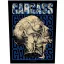 CARCASS: Necro Head (hátfelvarró / backpatch)