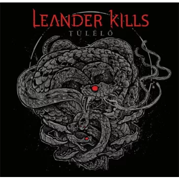 LEANDER KILLS: Túlélő (LP)