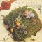 MANFRED MANN'S EARTH BAND: Good Earth (SHM CD, japán)