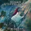 ROGER STAFFELBACH: The Quest (CD)