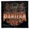 PANTERA: 2023 Tour (9,5 cm x 9,5 cm) (felvarró) 