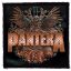 PANTERA: 2023 Tour (9,5 cm x 9,5 cm) (felvarró) 