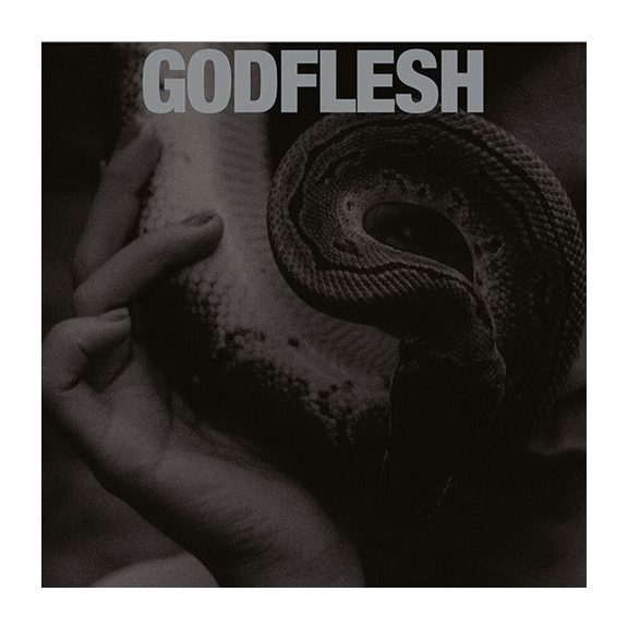 GODFLESH: Purge (CD) GODFLESH: Purge (CD)