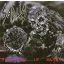 SADUS: Swallowed In Black (CD)