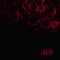 OSI: Blood (2CD)
