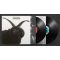 CULT: Cult (2LP)