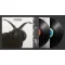 CULT: Cult (2LP)