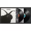 CULT: Cult (2LP)