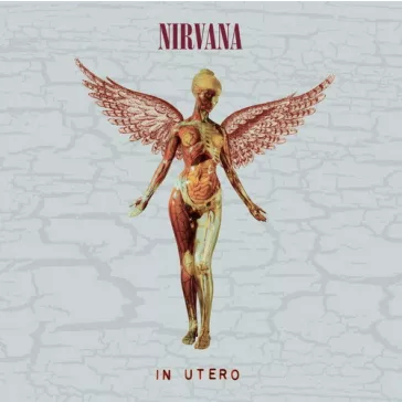 NIRVANA: In Utero 30th Anniversary (2CD)