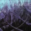 OCTOBER TIDE: Rain Without End (CD)