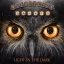REVOLUTION SAINTS: Light In The Dark (CD+DVD)