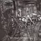 DARKTHRONE: Dark Thrones And Black Flags (CD)