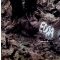 EDDA: 2. (CD)