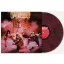 WASP: WASP - 40th Anniversary (LP, red/black marbled)