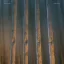 SKEPTICISM: Companion (CD)