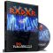 RADAR: 20 év változatlanul (DVD)