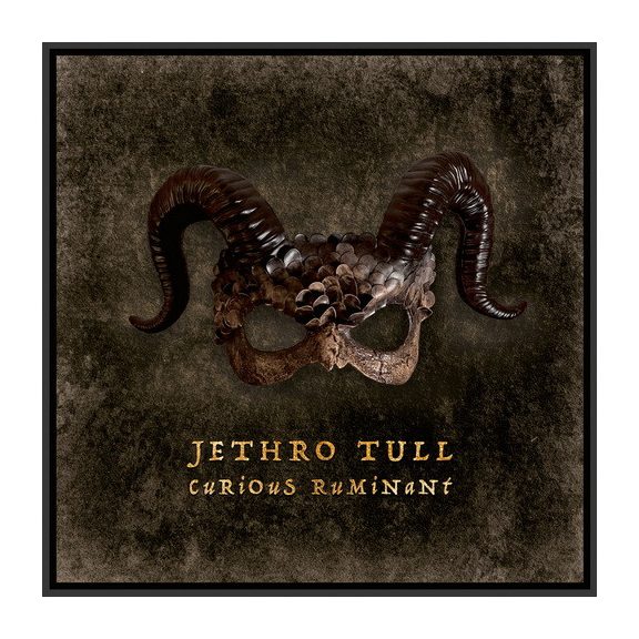 JETHRO TULL: Curious Ruminant (CD) JETHRO TULL: Curious Ruminant (CD)