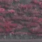 SLEEP TOKEN: Even In Arcadia (CD)