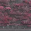 SLEEP TOKEN: Even In Arcadia (CD)