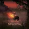 KATATONIA: Nightmares As Extensions Of The Waking State (CD)