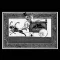 RUDIMENTARY PENI: Pope Adrian 37th Psychristiatric (LP)